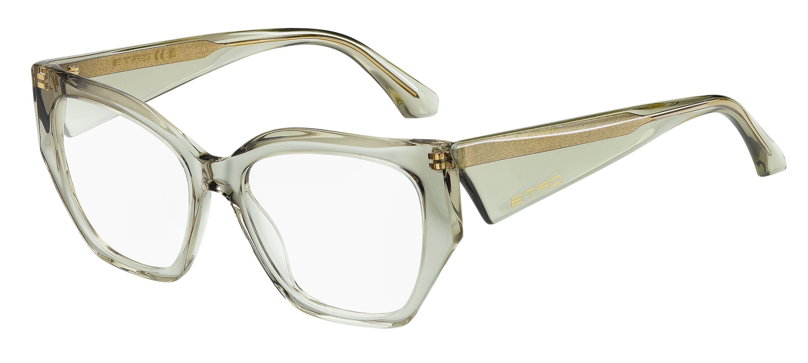 ETRO ETRO 0125 1ED Montature da vista ETRO 1