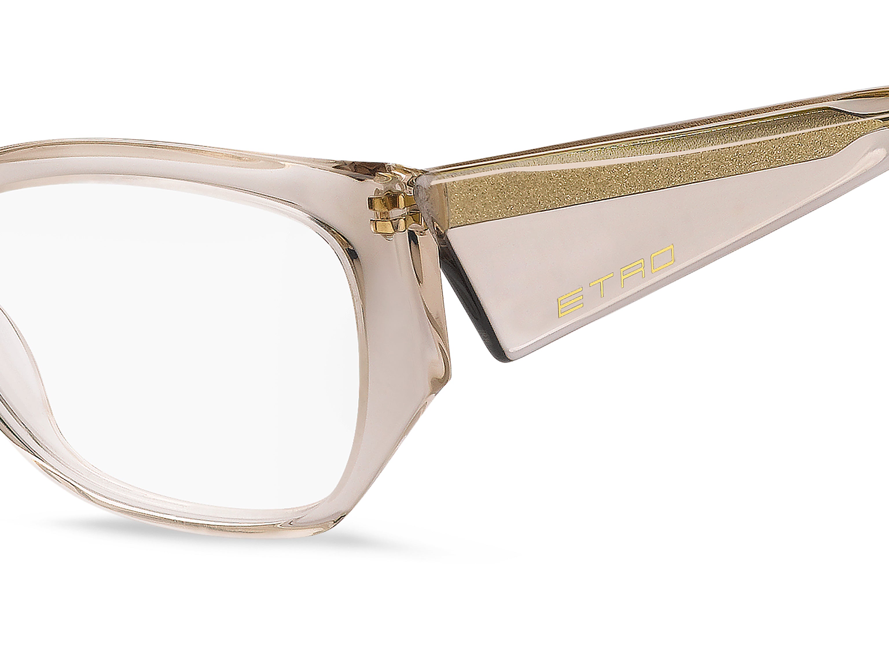 ETRO ETRO 0126 FWM Montature da vista ETRO 3