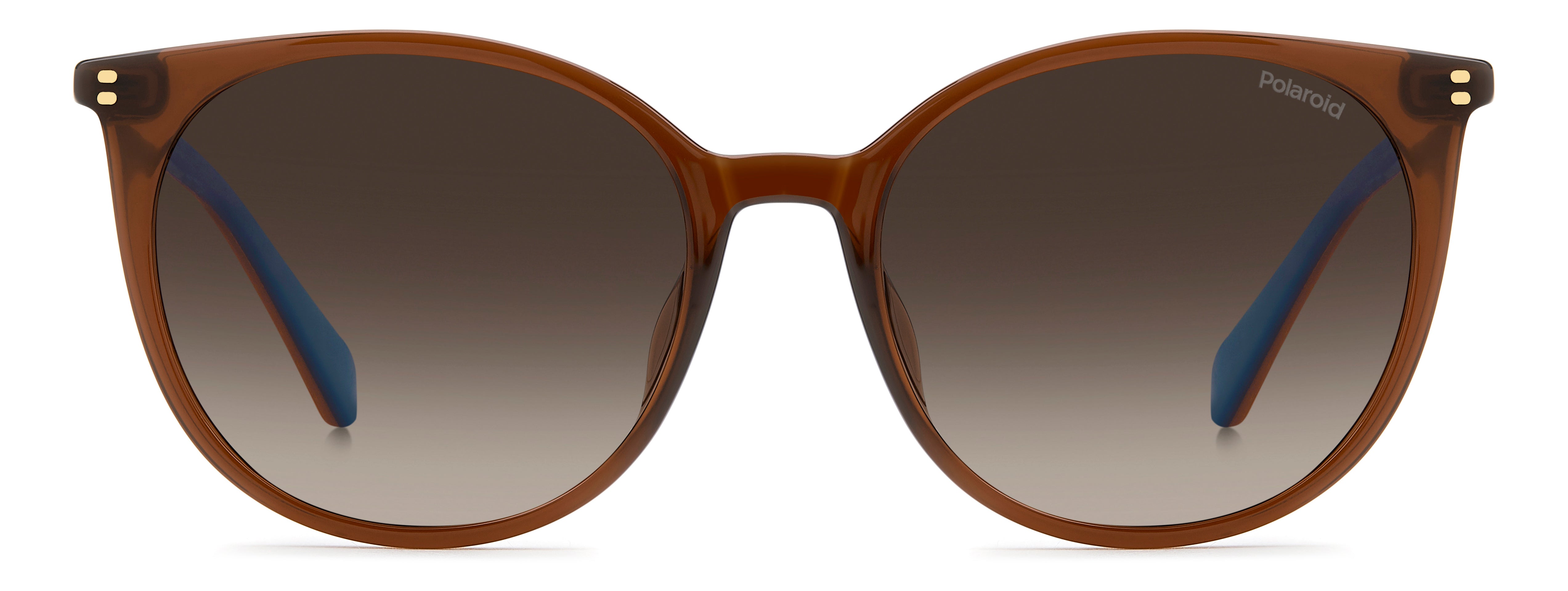 Polaroid PLD 4208/S/X 09Q/LA Occhiali da sole Polaroid 2