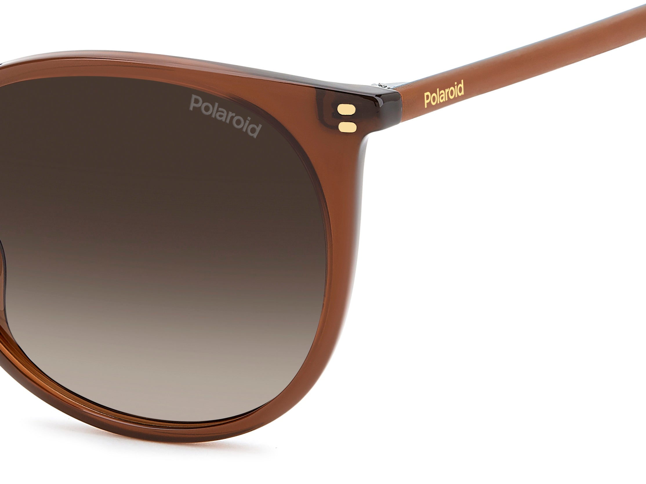 Polaroid PLD 4208/S/X 09Q/LA Occhiali da sole Polaroid 4