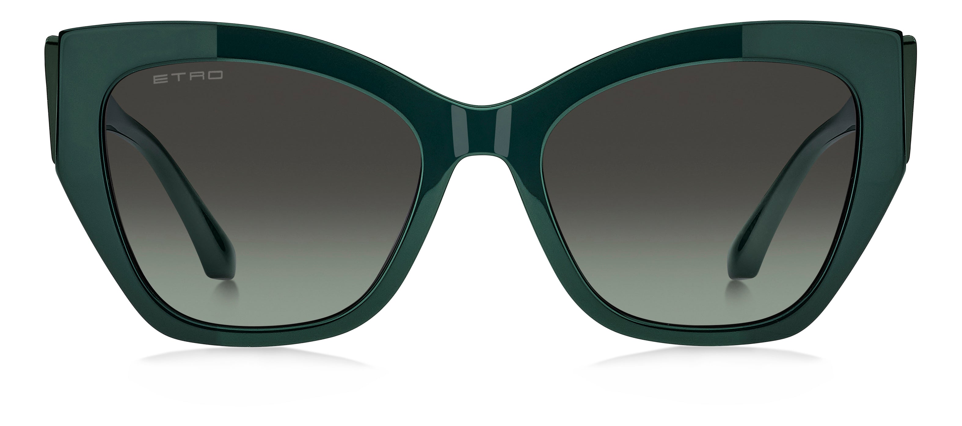 ETRO ETRO 0143/S 1ED/IB