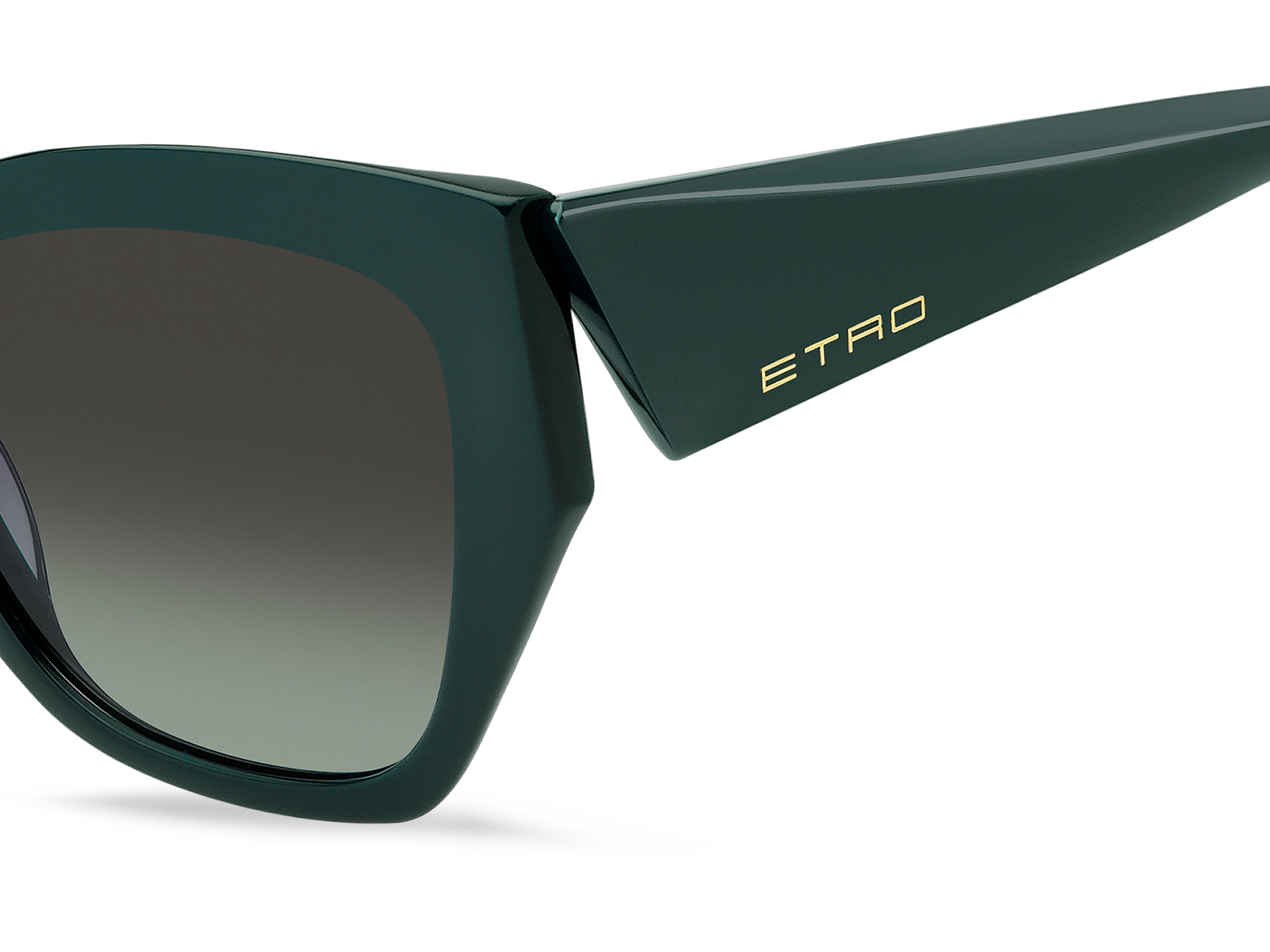 ETRO ETRO 0143/S 1ED/IB