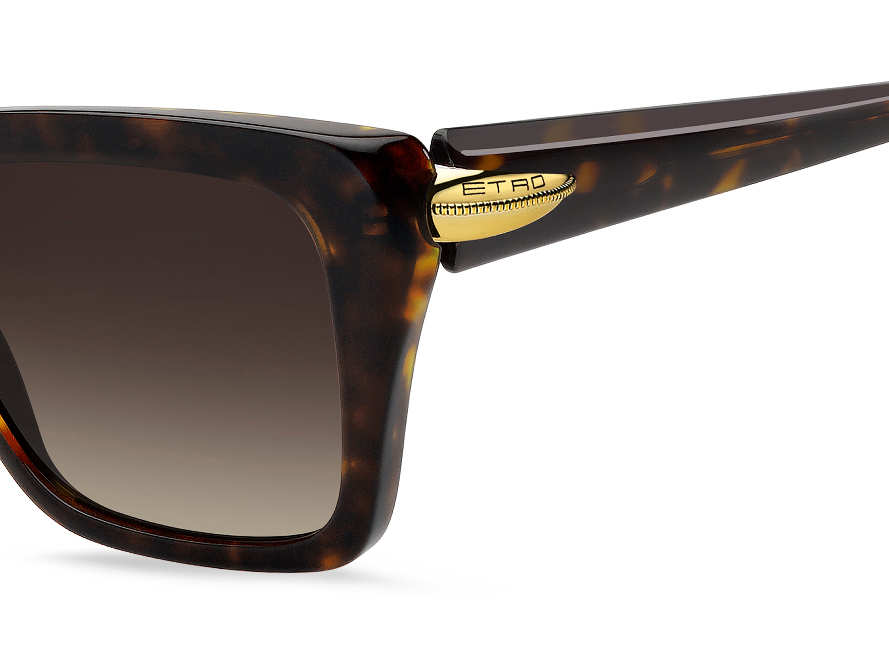 ETRO ETRO 0151/S 086/HA