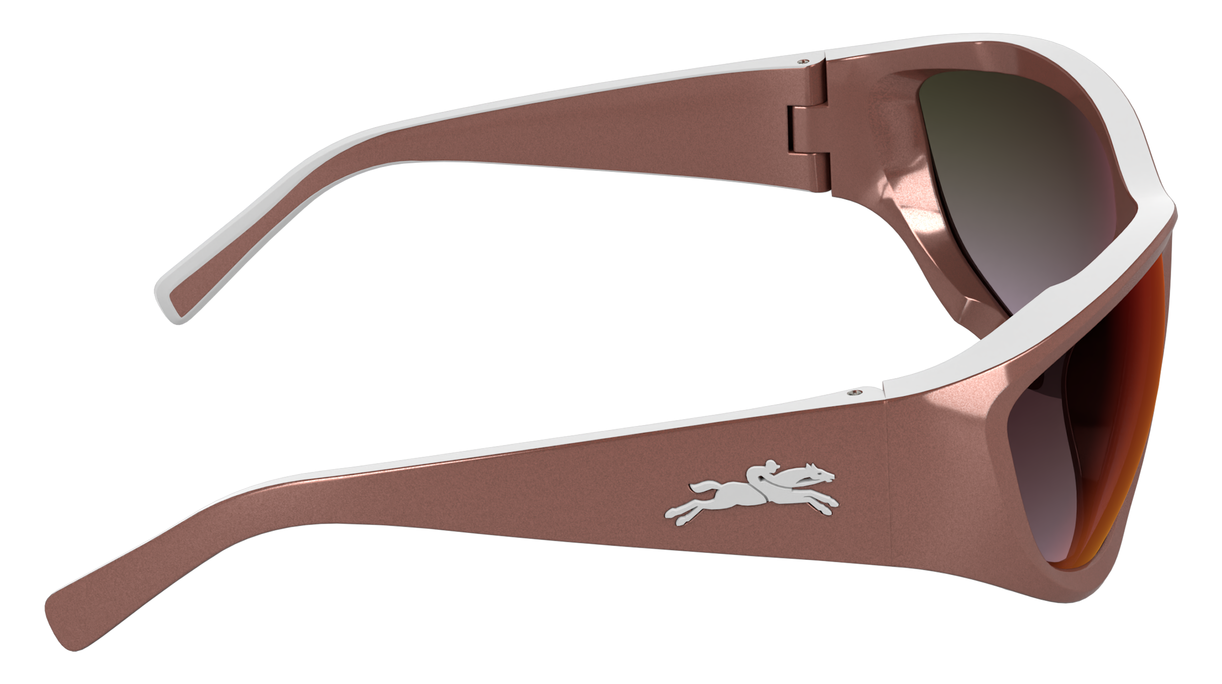 LONGCHAMP LO796S 617