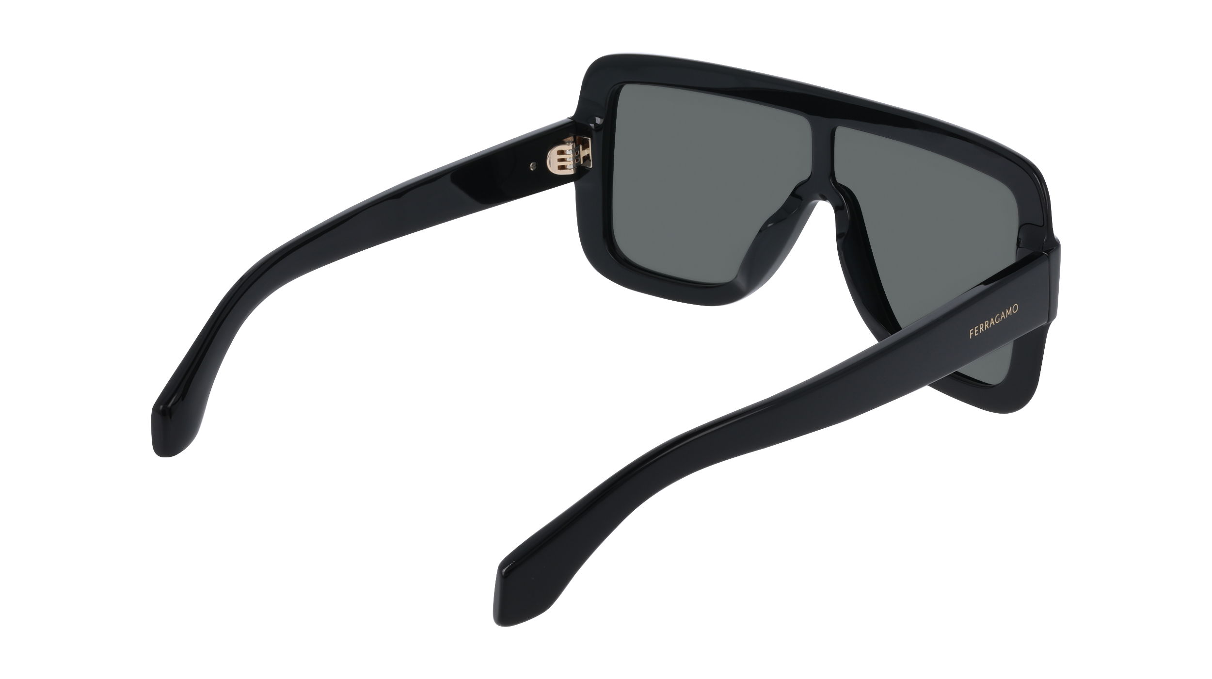 SF2061SE 001 Occhiali da sole Ferragamo 6