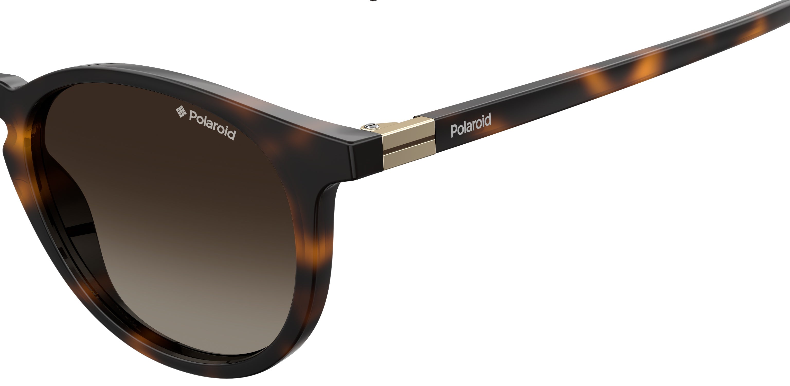 PLD 6102/S/X 086/LA Occhiali da sole Polaroid 3