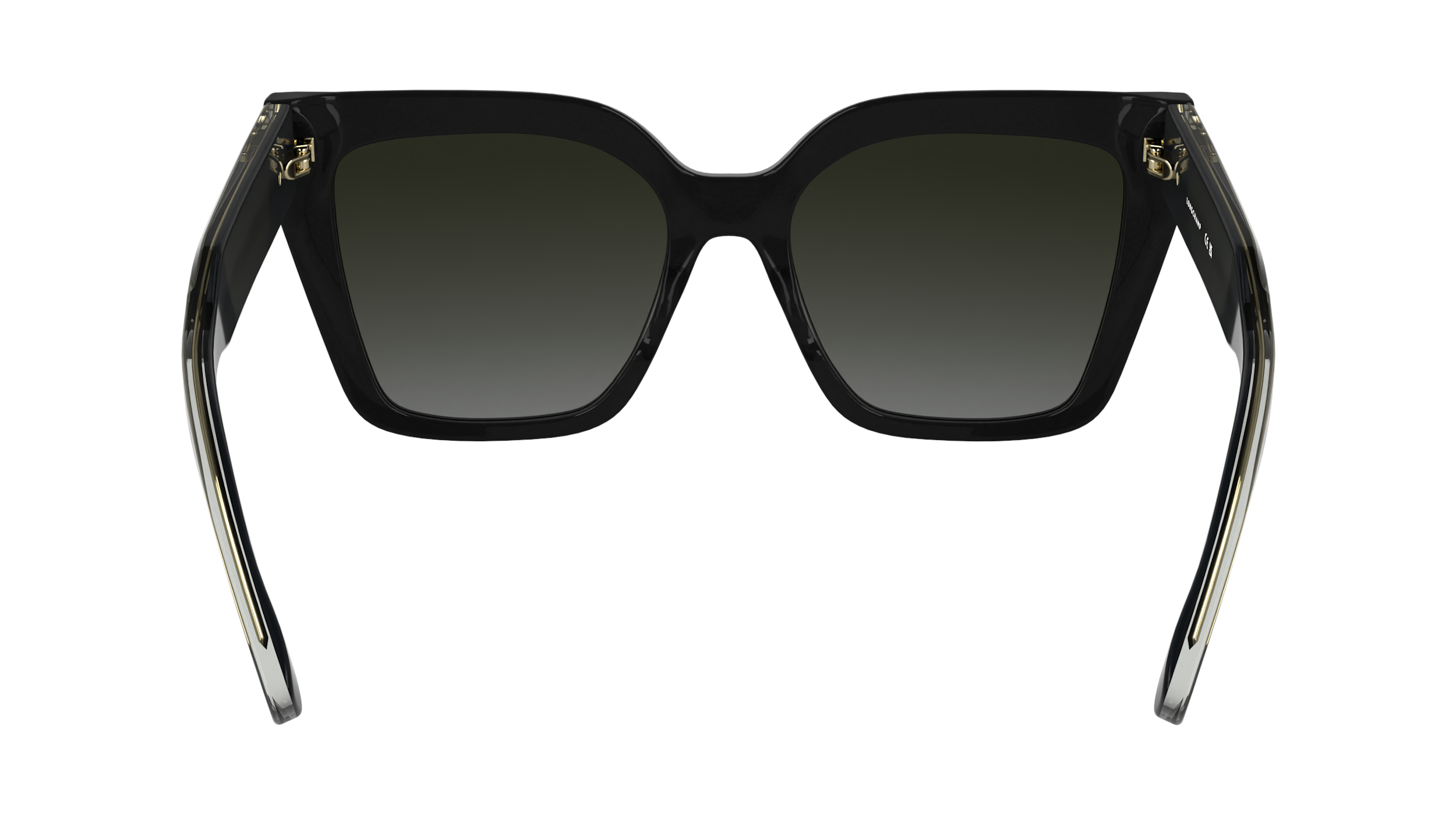 LO778S 1 Occhiali da sole LONGCHAMP 5