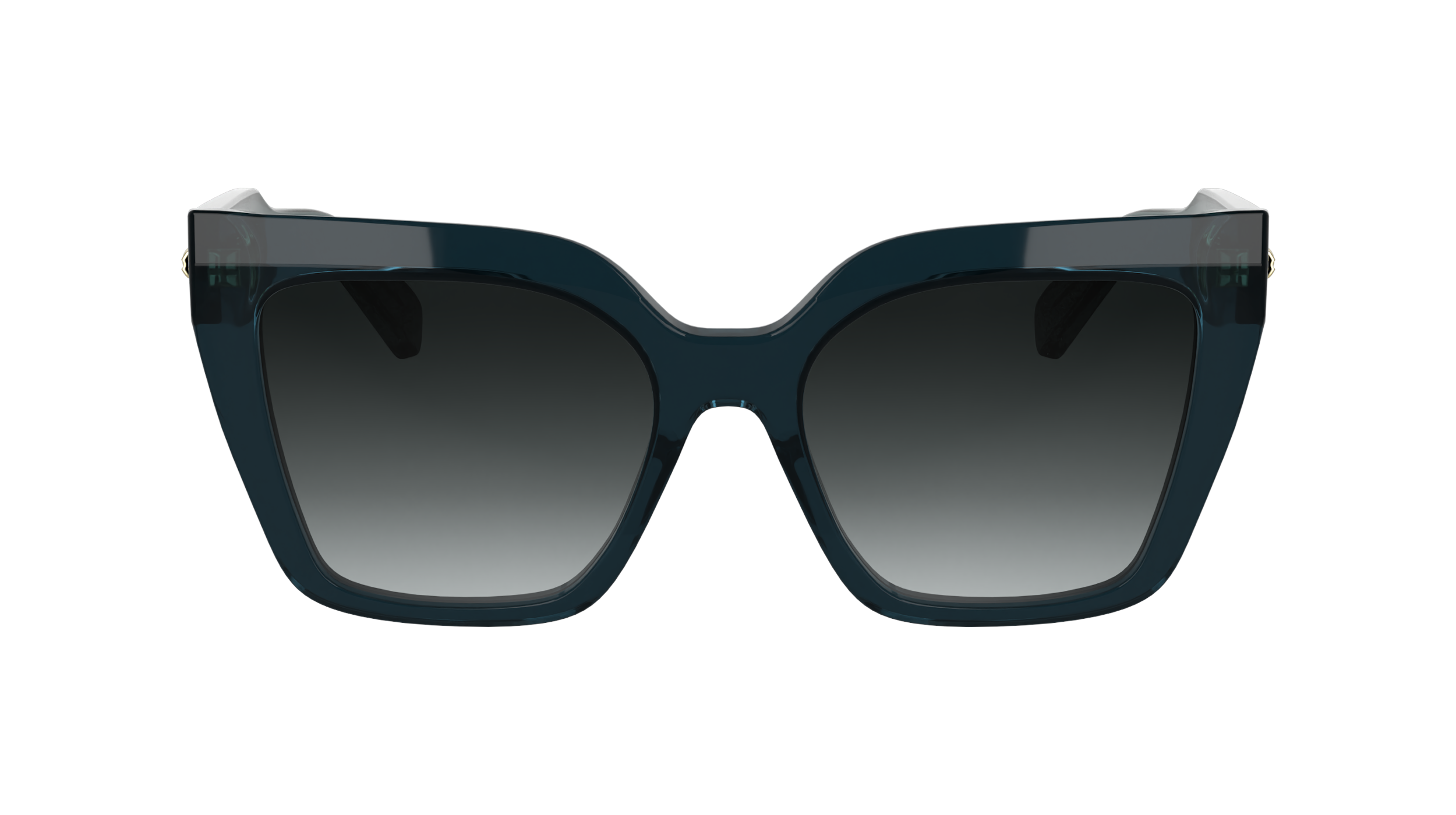 LO778S 400 Occhiali da sole LONGCHAMP 2