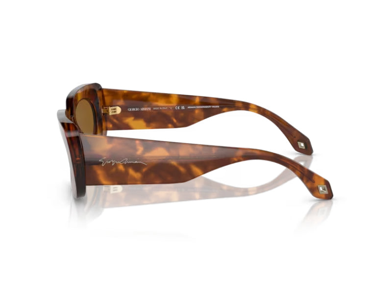 AR8182 598833 Occhiali da sole Giorgio Armani 4