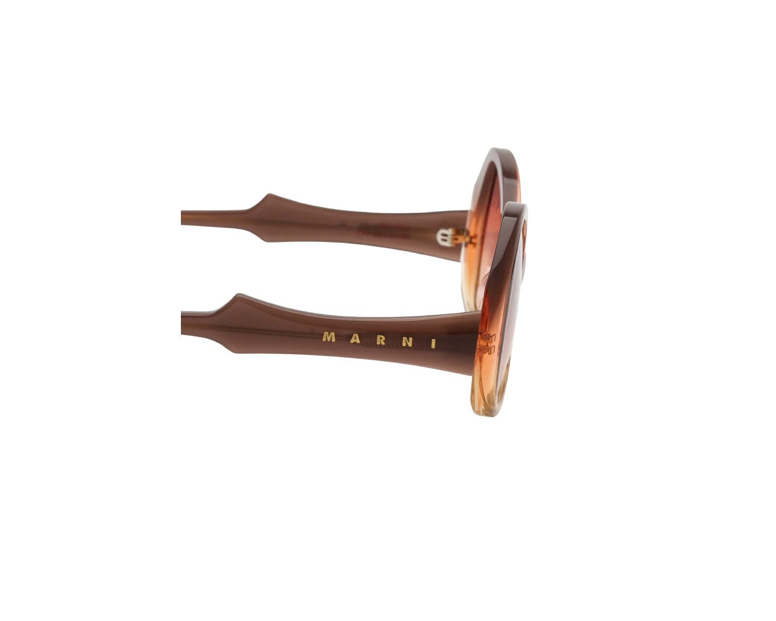 Marni Z20 Anu Ohia Brown Faded