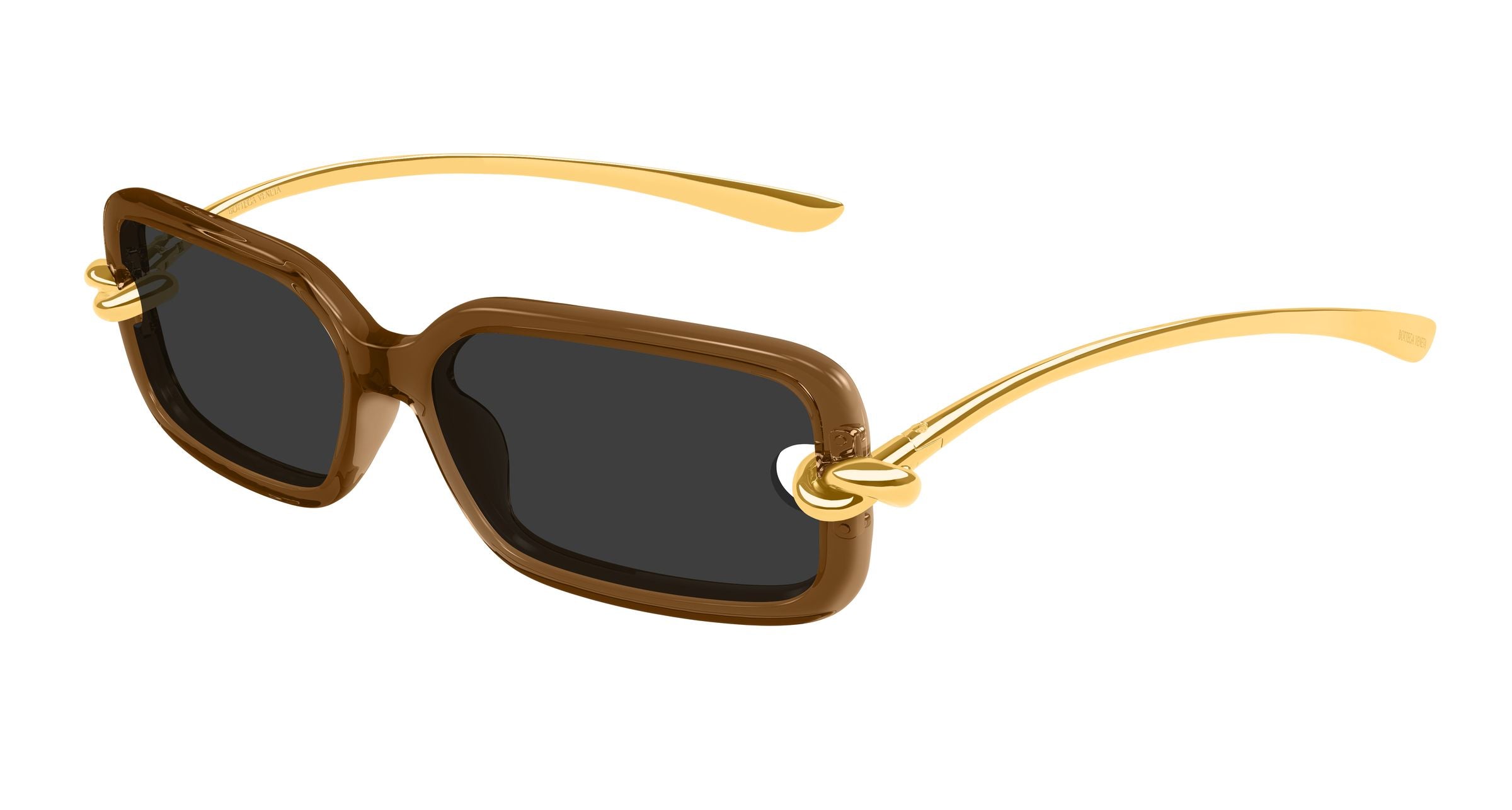 Bottega Veneta BV1439S 005