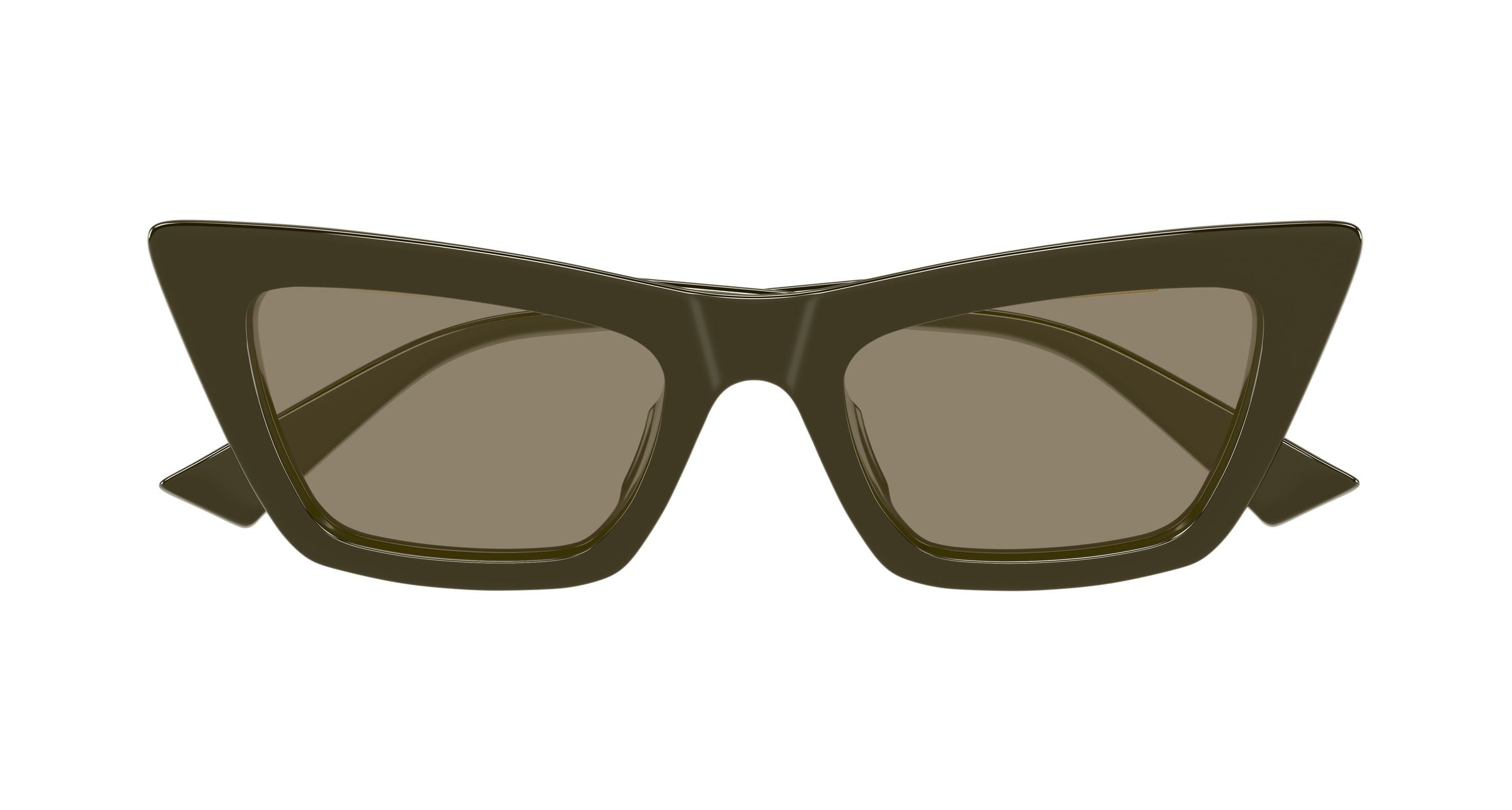 Bottega Veneta BV1446S 005