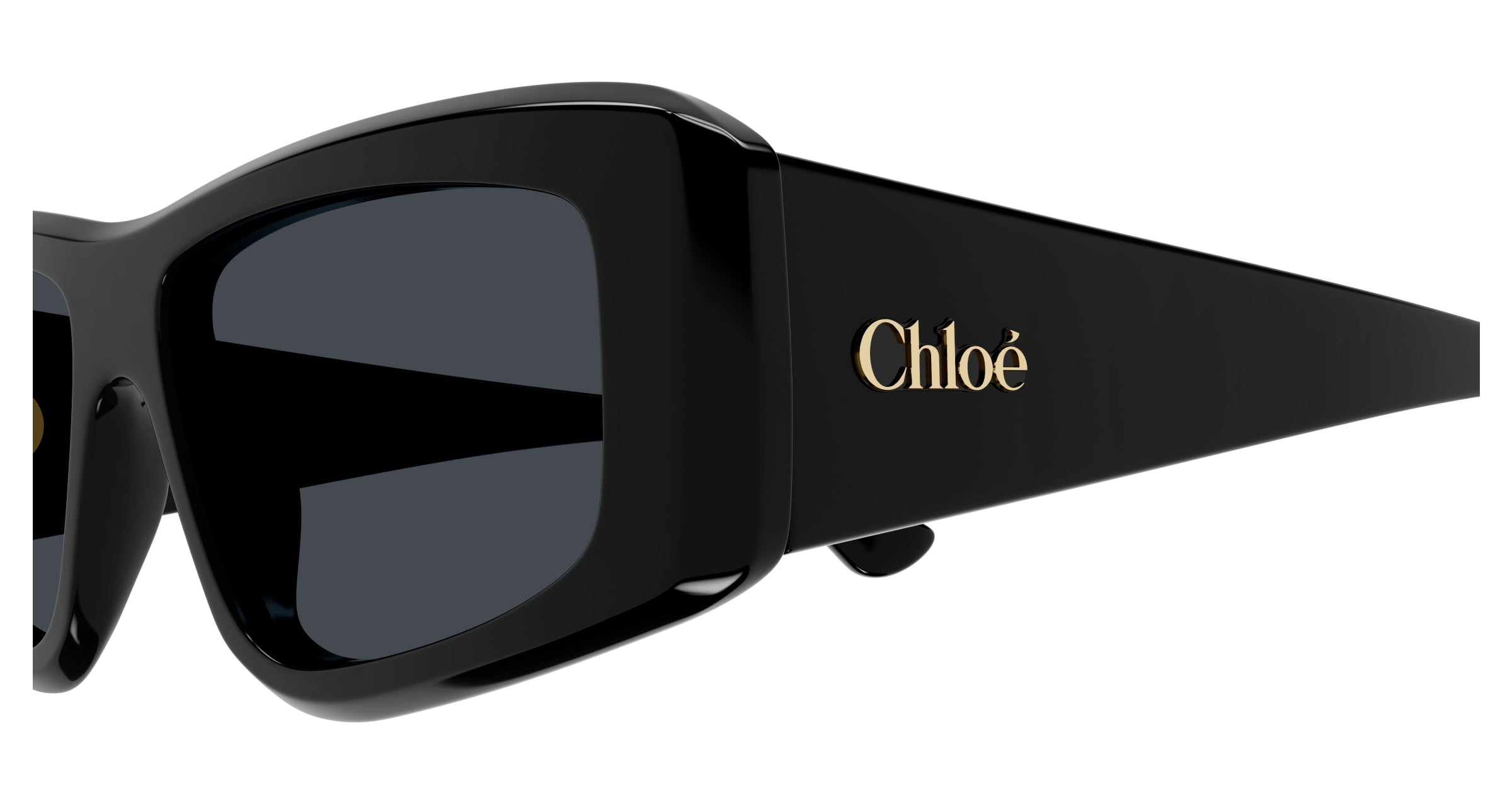 CH0299S 001 Occhiali da sole Chloé 3