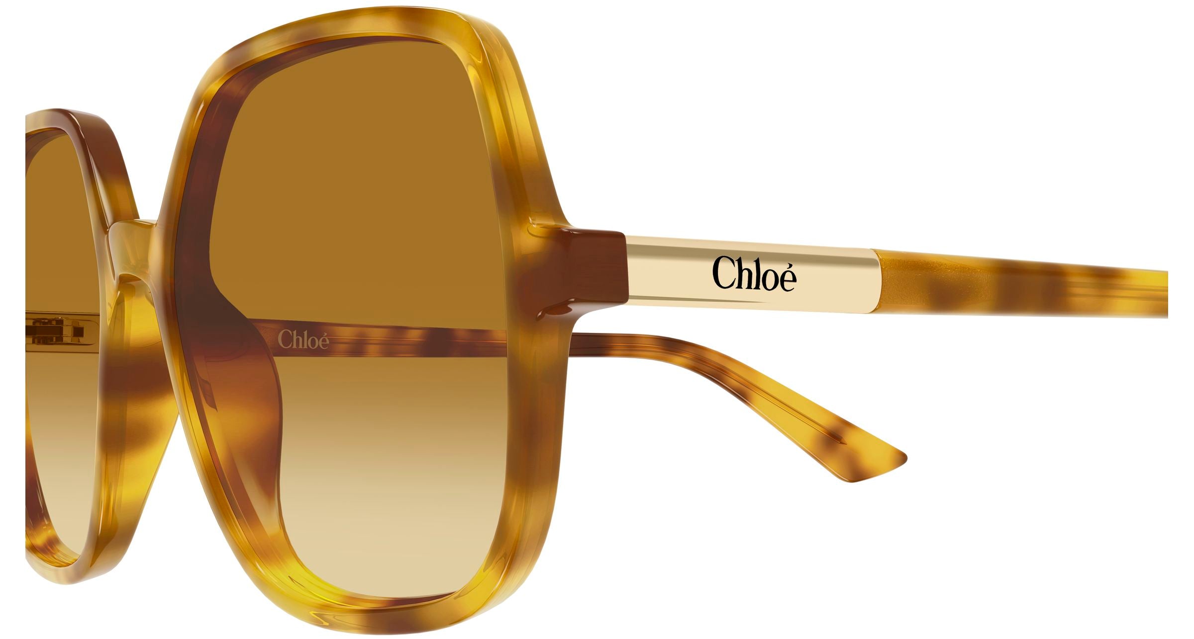 Chloé CH0362S 004