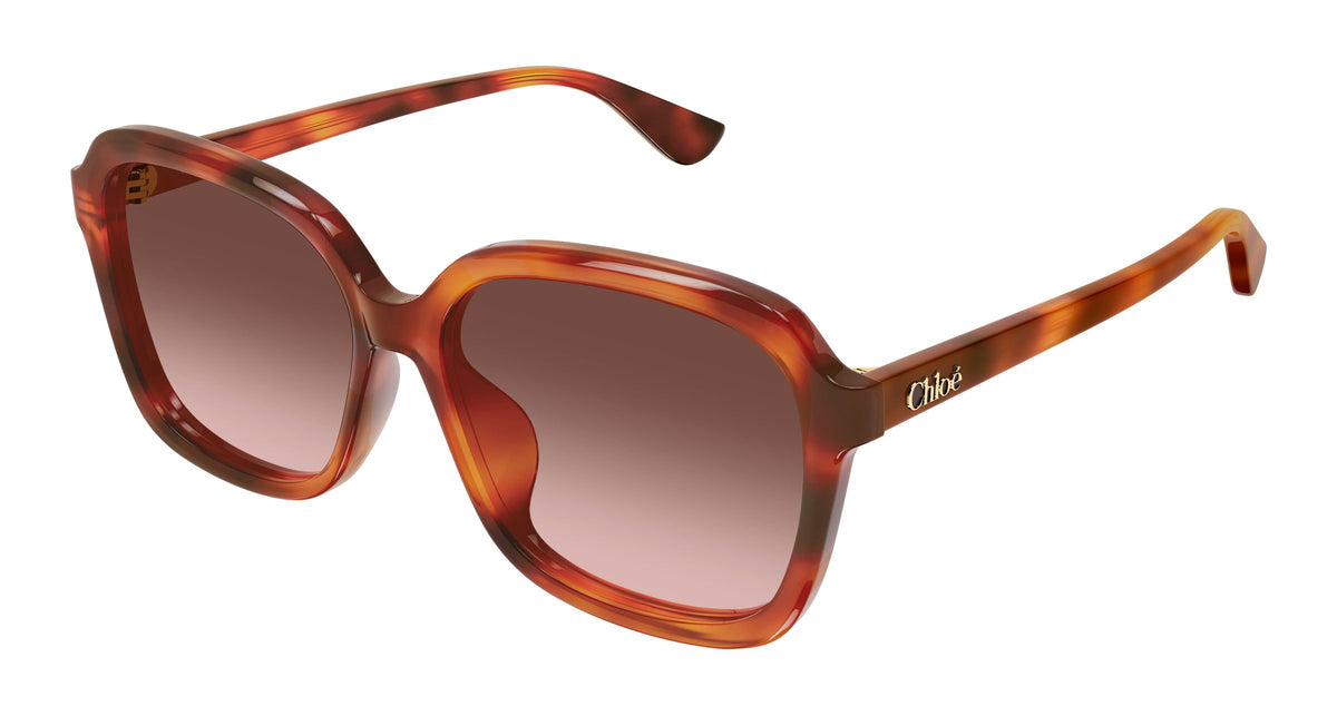 Chloé CH0390SK 002