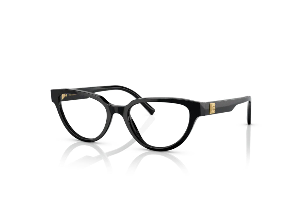 Dolce & Gabbana DG3358 L501