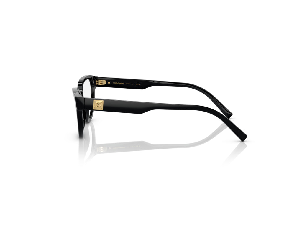 Dolce & Gabbana DG3358 L501