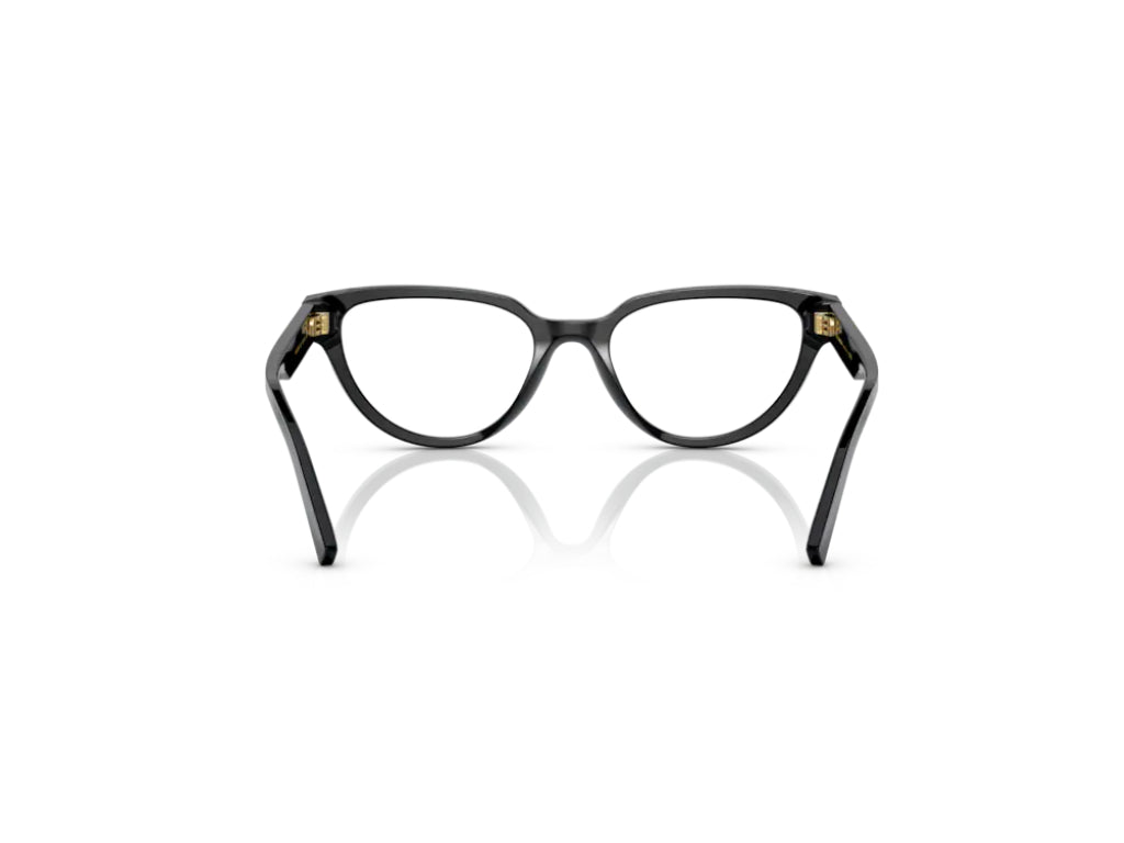 Dolce & Gabbana DG3358 L501