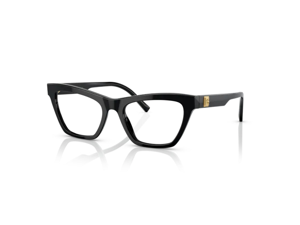 Dolce & Gabbana DG3359 501