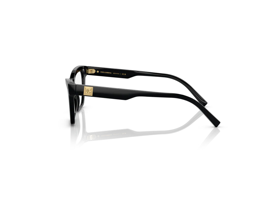 Dolce & Gabbana DG3359 501