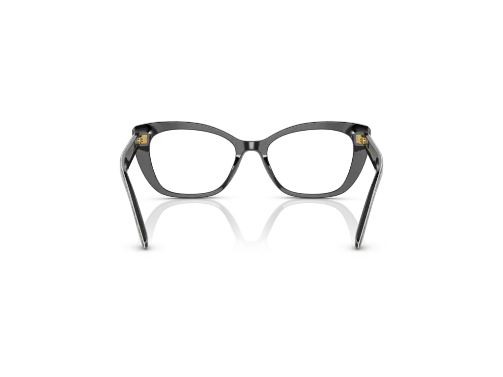 Dolce & Gabbana DG3360 3163