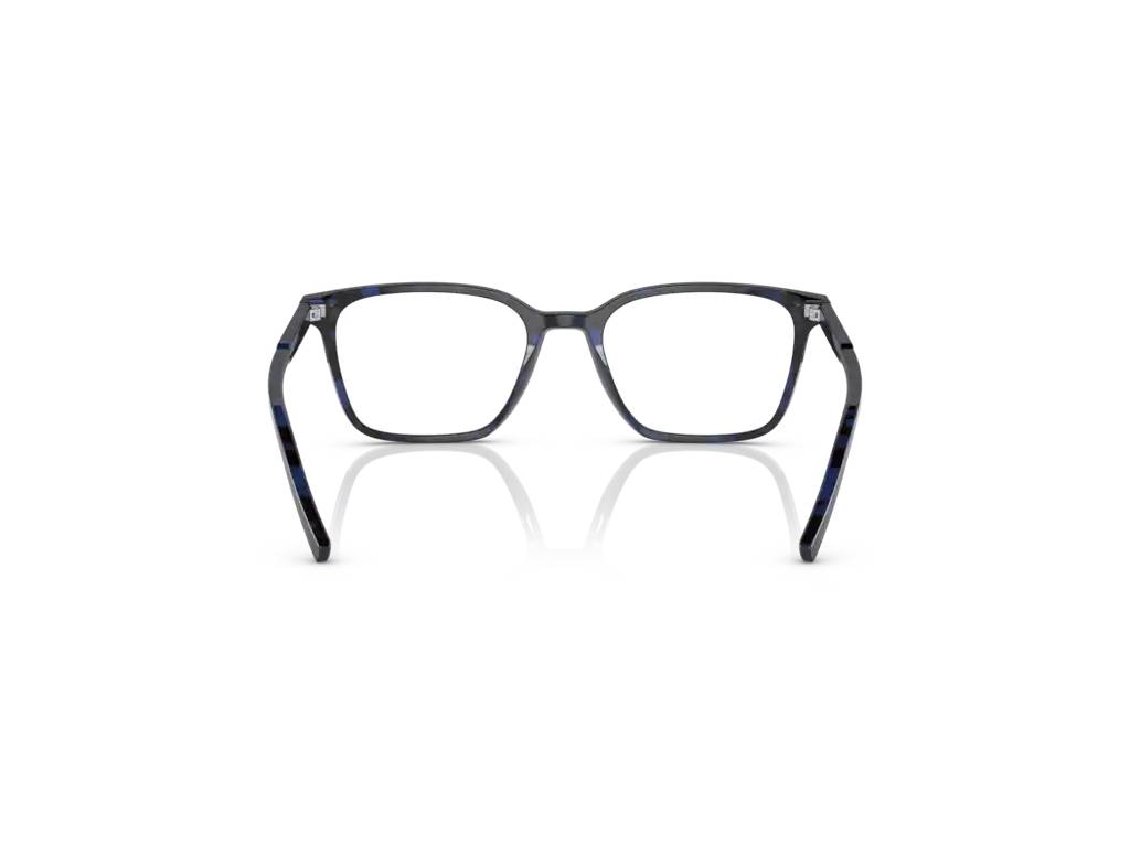 Dolce & Gabbana DG3365 3392