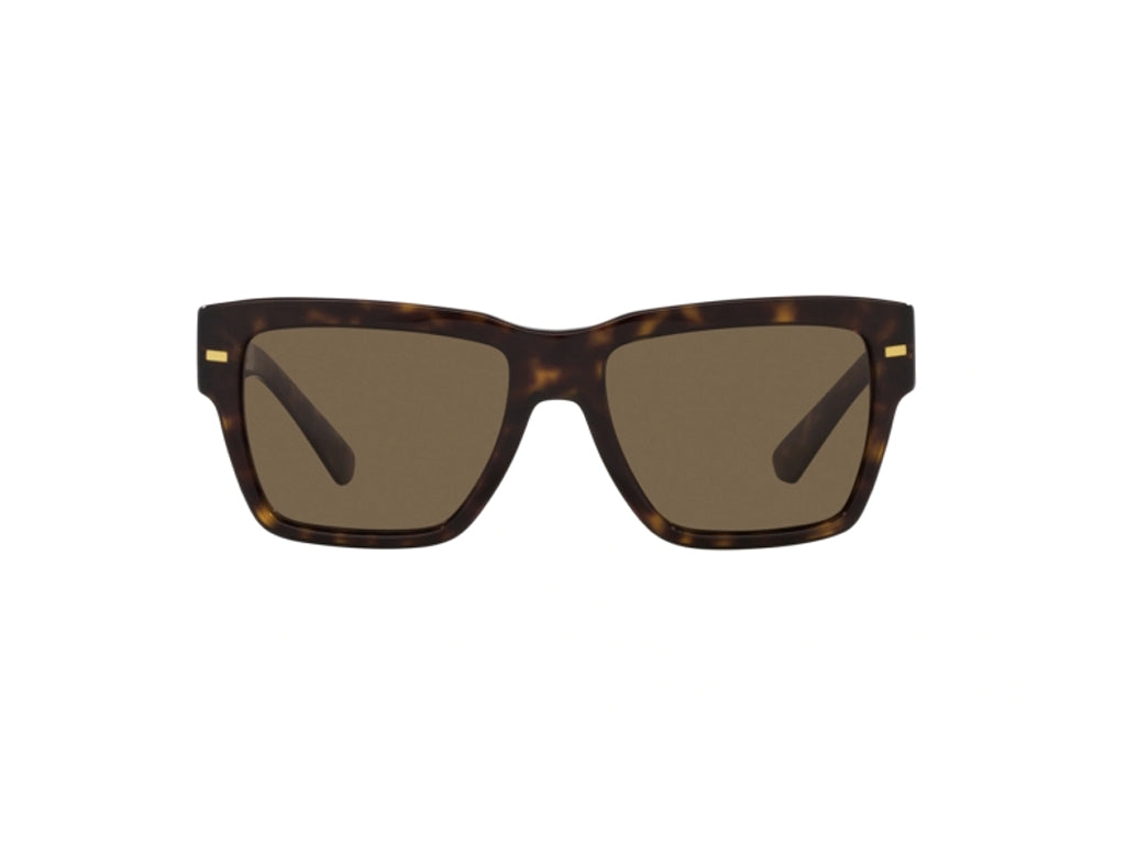 DG4431 502/73 Occhiali da sole Dolce & Gabbana 2