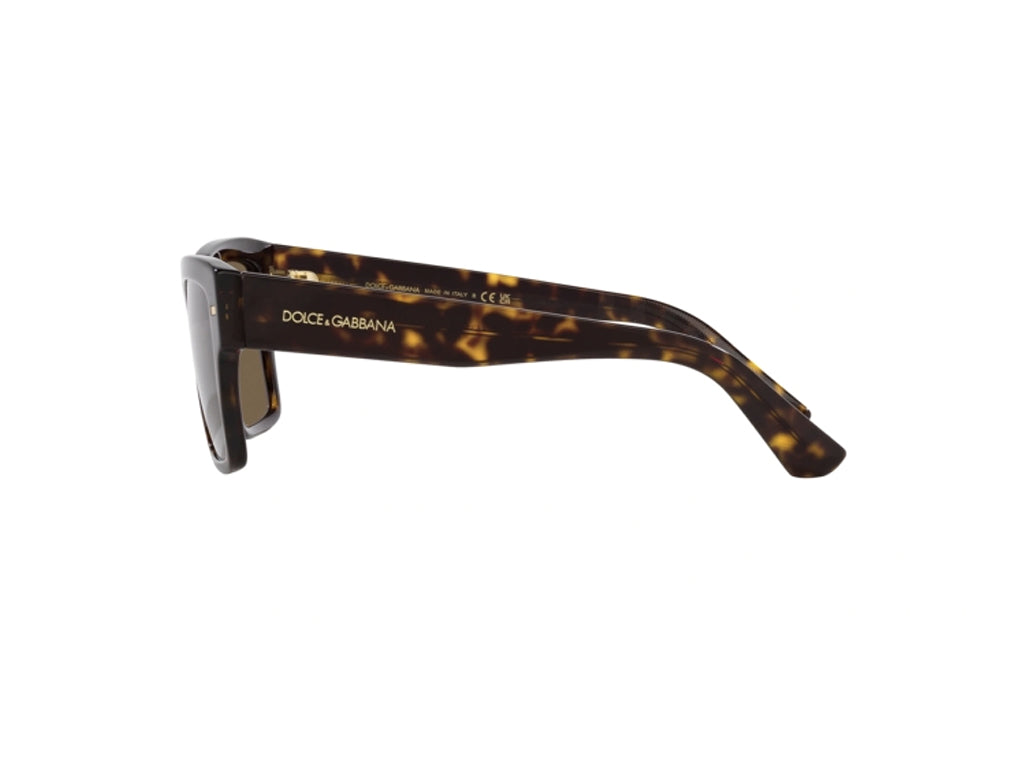 DG4431 502/73 Occhiali da sole Dolce & Gabbana 3