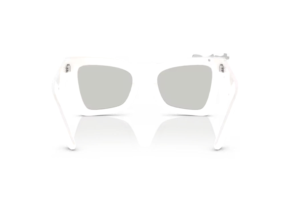 Dolce & Gabbana DG4434 33128V