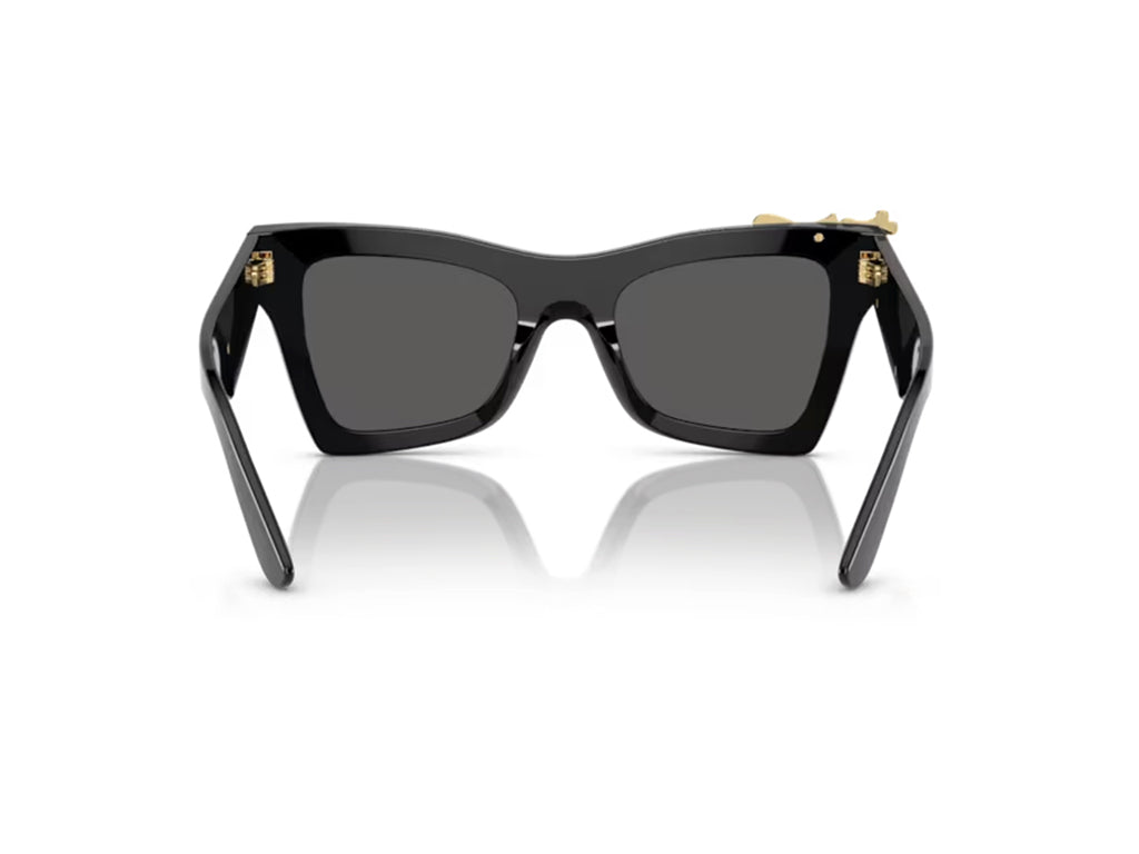 Dolce & Gabbana DG4434 501/87