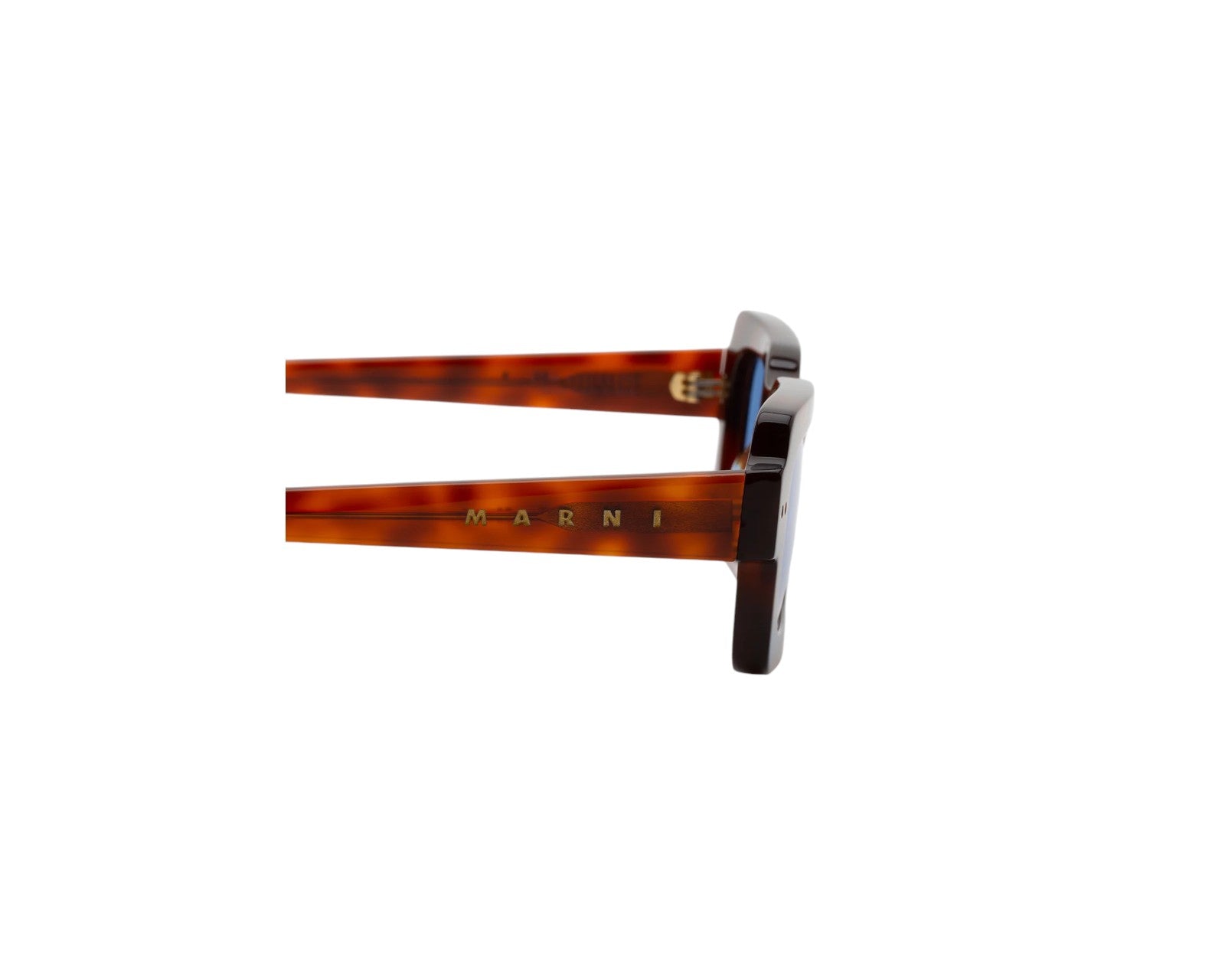 Lake Vostok Havana Blue EDW Occhiali da sole Marni 3