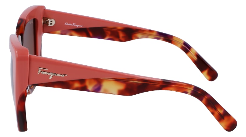 SF1060S 641 Occhiali da sole Ferragamo 4