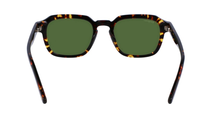 SF1089S 219 Occhiali da sole Ferragamo 6