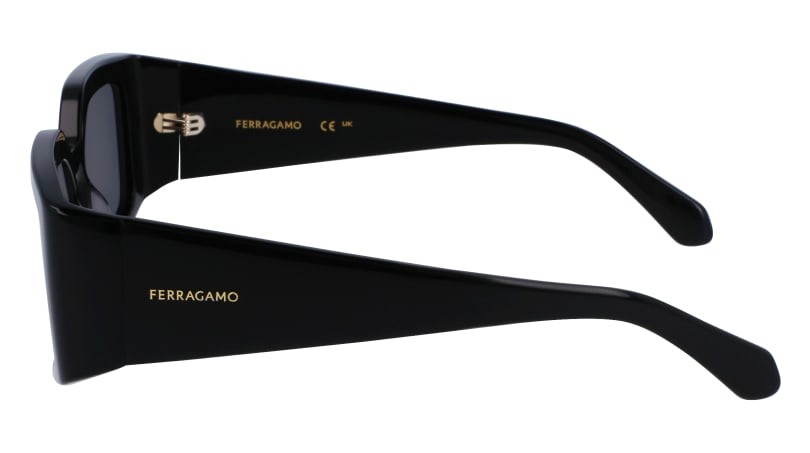 SF1101S 001 Occhiali da sole Ferragamo 5