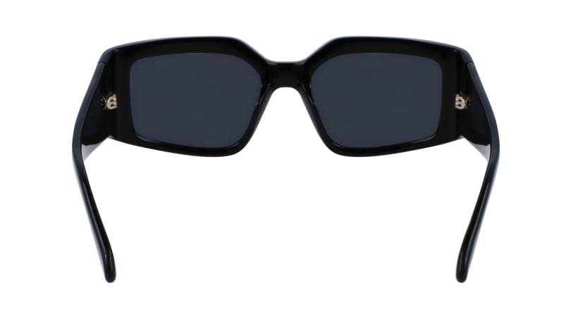 SF1101S 001 Occhiali da sole Ferragamo 9