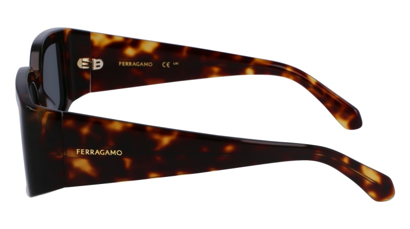 SF1101S 242 Occhiali da sole Ferragamo 6