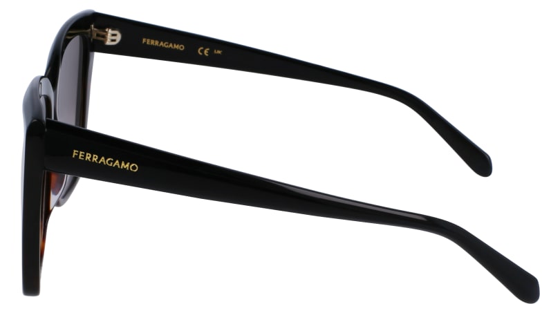 SF1102S 006 Occhiali da sole Ferragamo 5