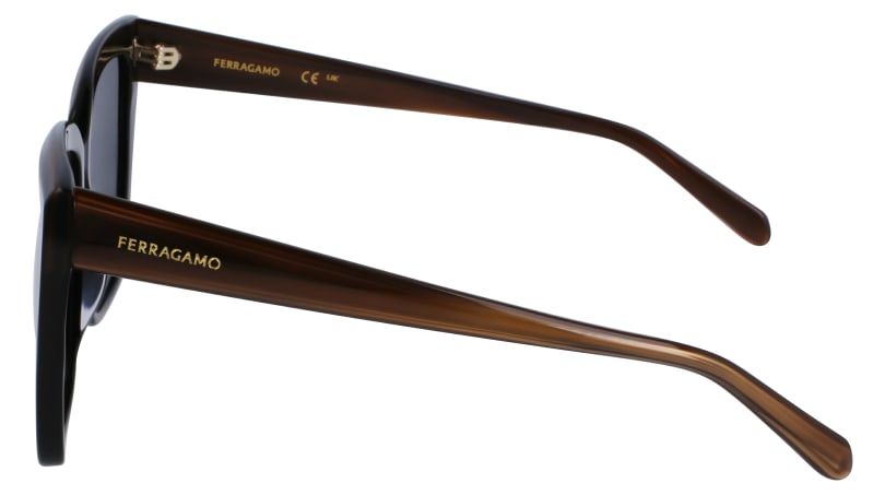 SF1102S 217 Occhiali da sole Ferragamo 5