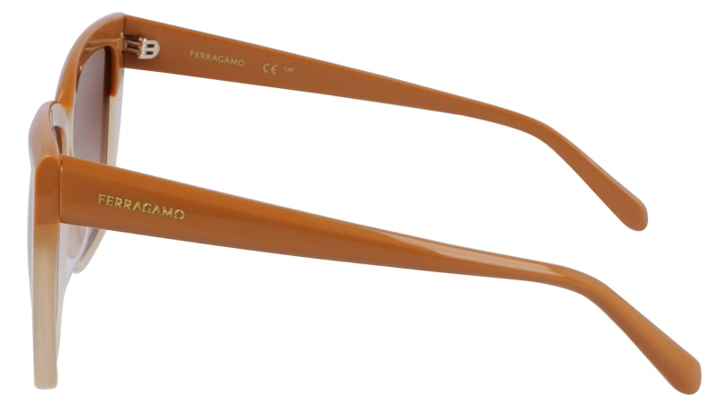 SF1102S 261 Occhiali da sole Ferragamo 5