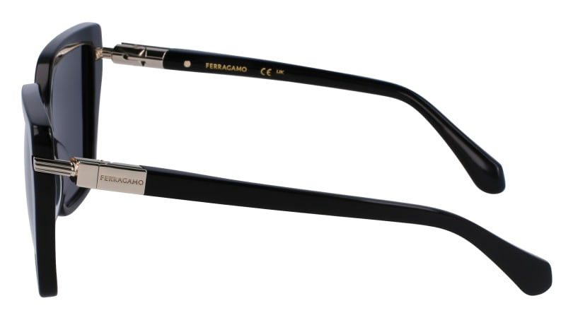 SF1106S 001 Occhiali da sole Ferragamo 6