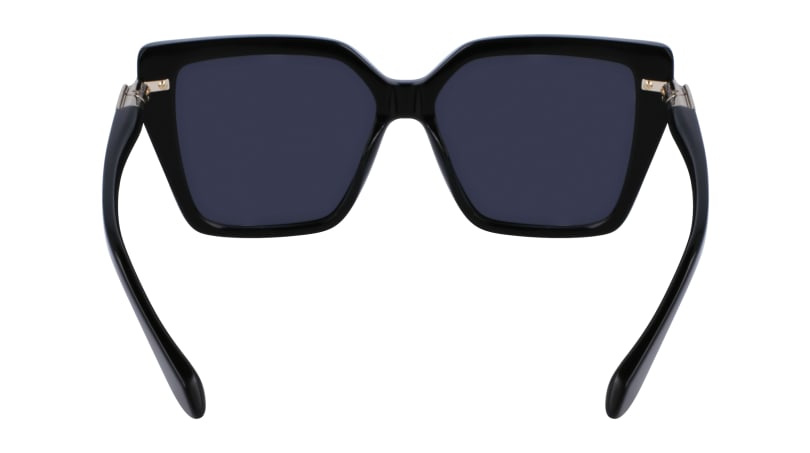 SF1106S 001 Occhiali da sole Ferragamo 9