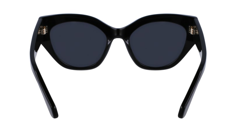 SF1107S 001 Occhiali da sole Ferragamo 8
