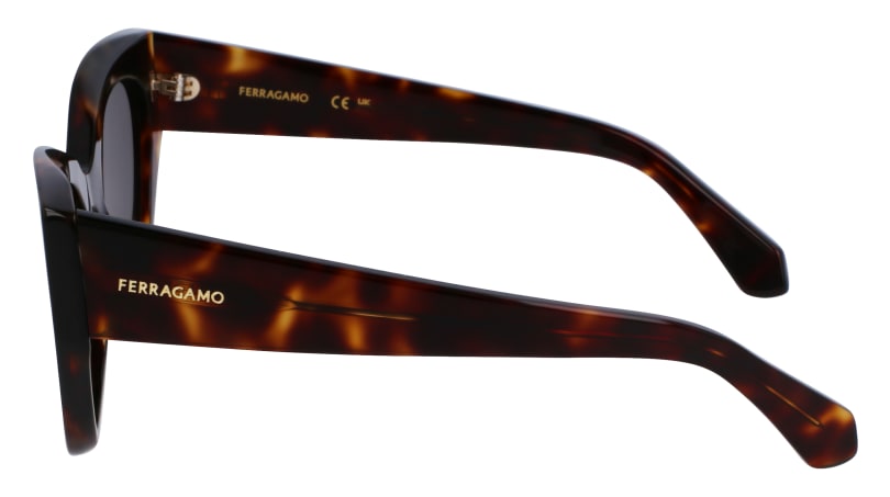 SF1107S 242 Occhiali da sole Ferragamo 6