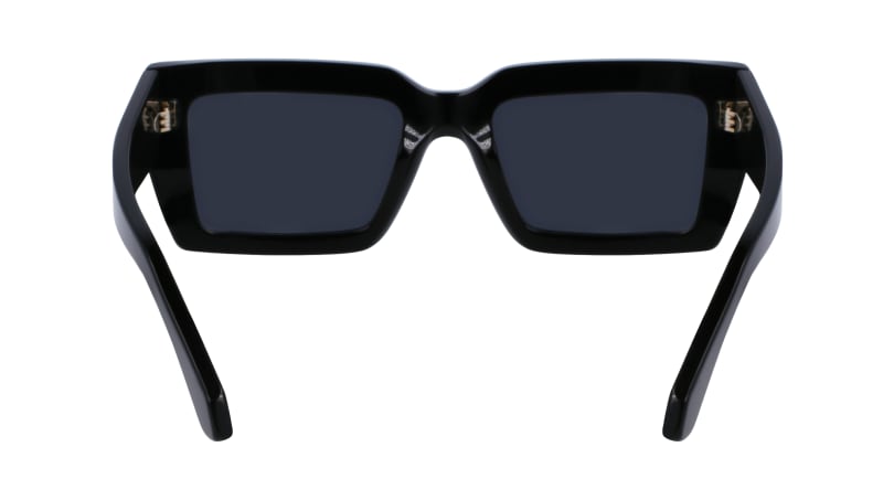 SF1108S 001 Occhiali da sole Ferragamo 9