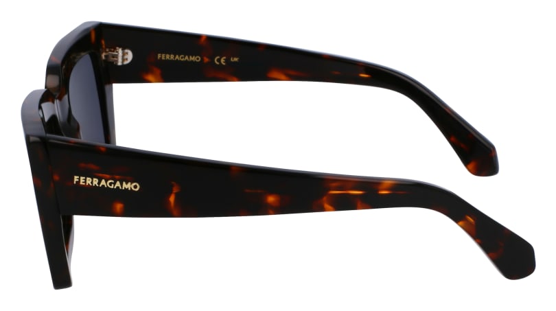 SF1108S 242 Occhiali da sole Ferragamo 5