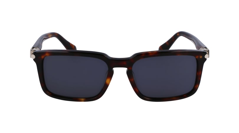 SF1110S 242 Occhiali da sole Ferragamo 2