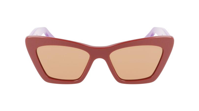 SF929S 209 Occhiali da sole Ferragamo 2