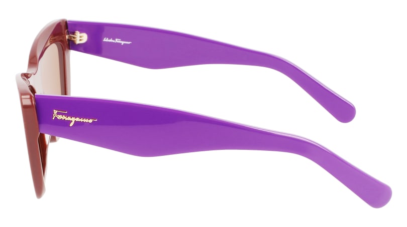 SF929S 209 Occhiali da sole Ferragamo 4