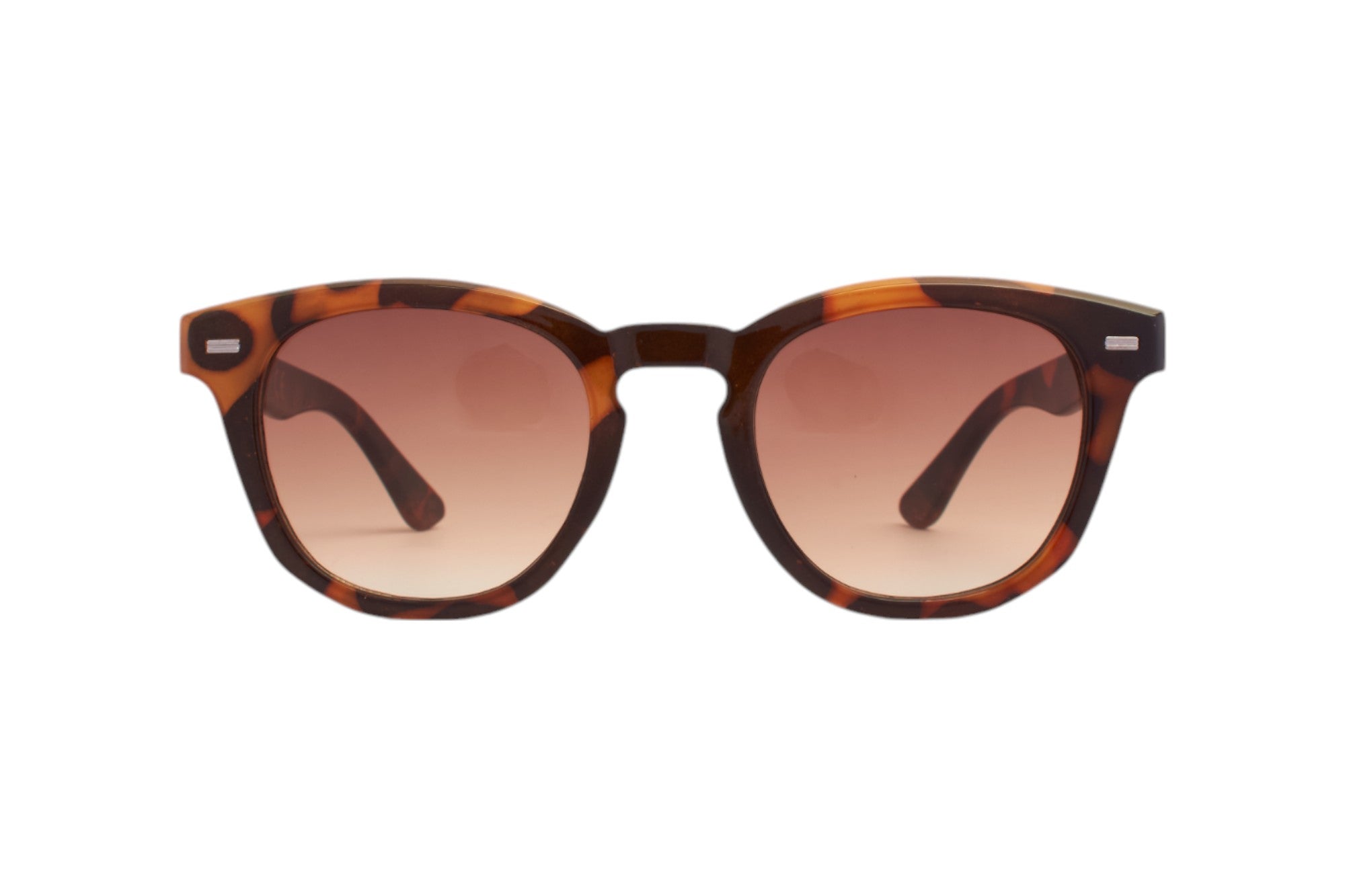 SLS059 Tartaruga scuro/Marrone sfumato Occhiali da sole SUN LOVERS 2