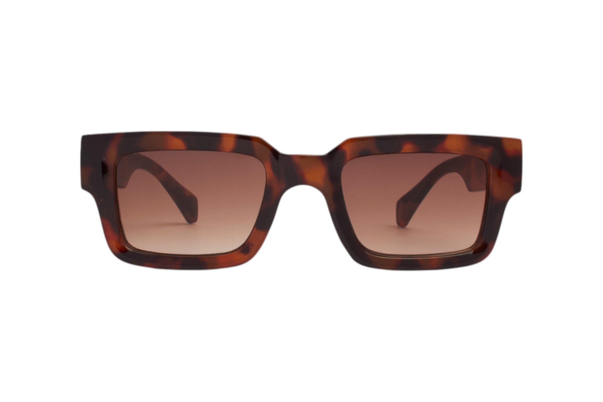 SLS139 Tartaruga scuro/Marrone sfumato Occhiali da sole SUN LOVERS 2